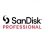 Sandisk Professional