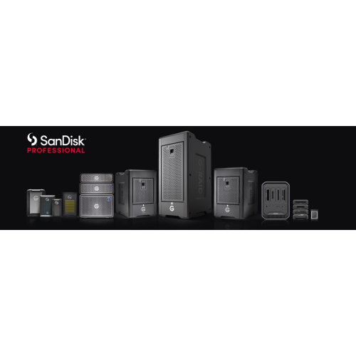 Sandisk Professional