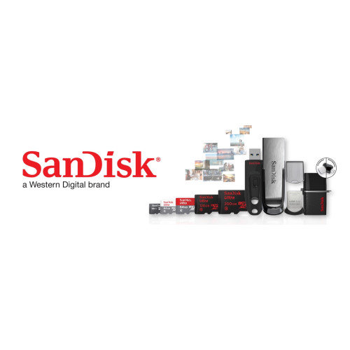 Sandisk
